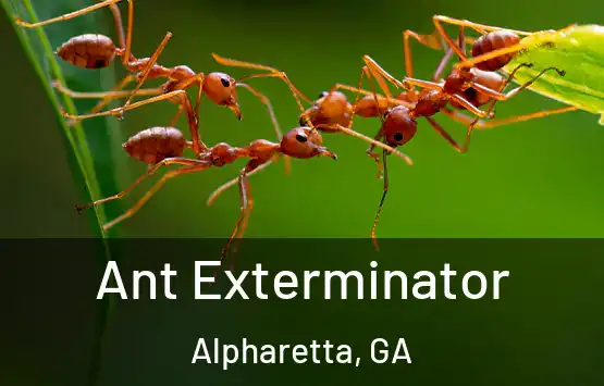  Ant Exterminator Alpharetta, GA