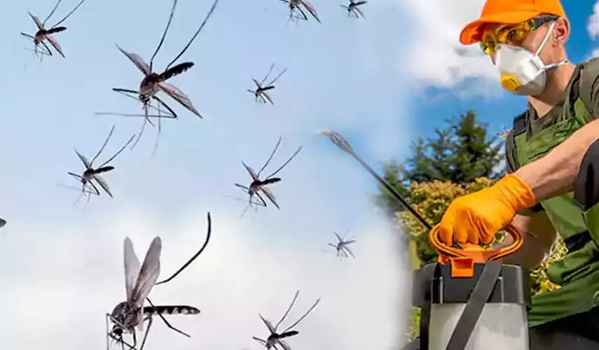 Mosquito Pest Control in Alpharetta, GA