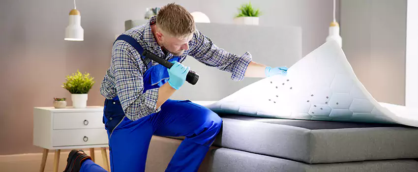 bed-bug-treatment in Alpharetta, GA