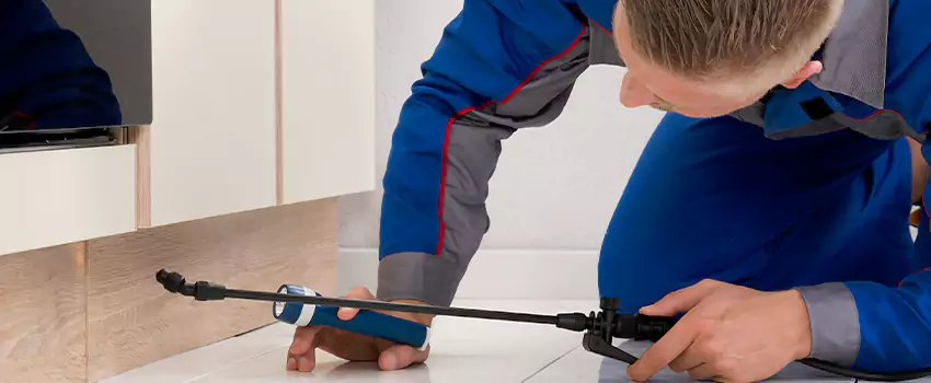 Ant Control for Bedrooms in Alpharetta, GA