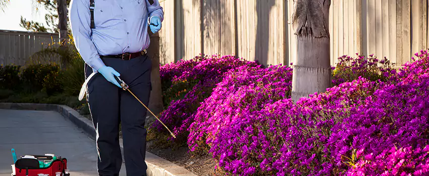 Commercial Mosquito Control Services in Alpharetta, GA