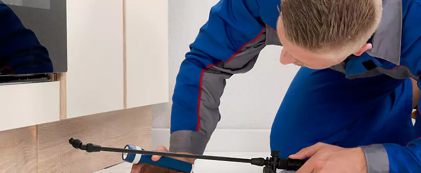 Termite Control for Children and Pets in Alpharetta, GA