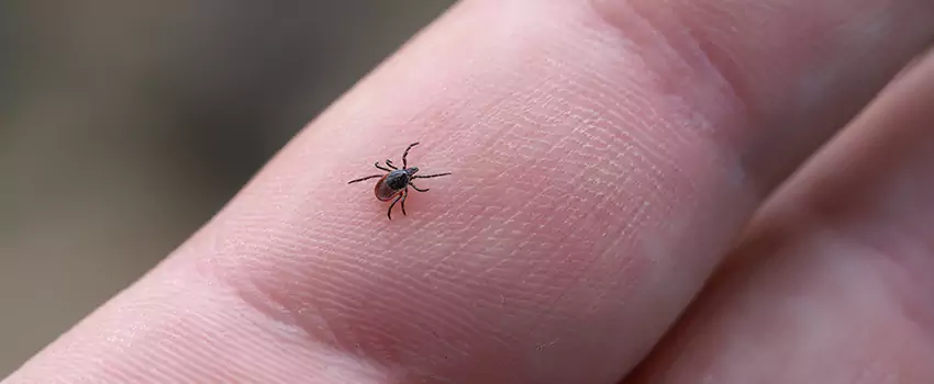 tick-control in Alpharetta, GA