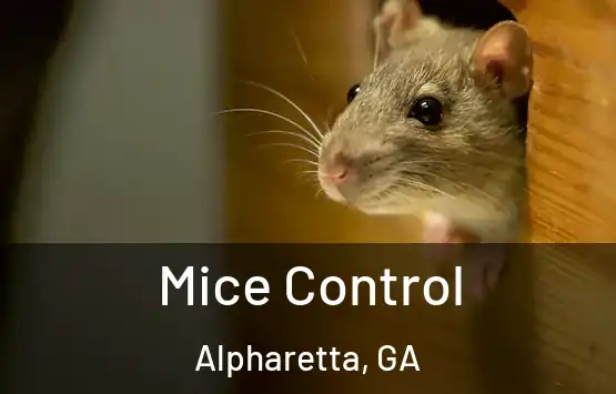  Mice Control Alpharetta, GA