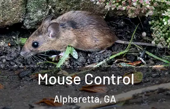  Mouse Control Alpharetta, GA