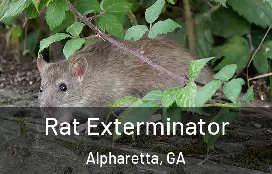  Rat Exterminator Alpharetta, GA