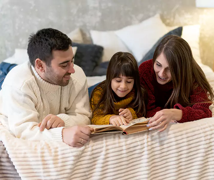 About Bed Bug Pest Control Alpharetta