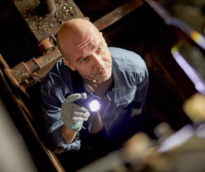 About Pest Inspection Alpharetta