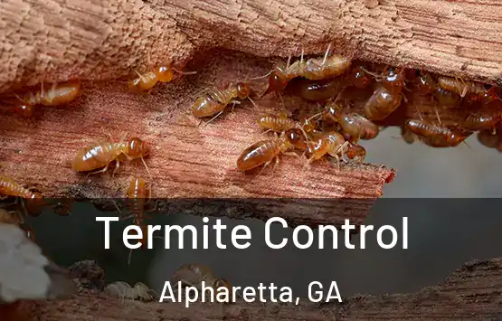  Termite Control Alpharetta, GA