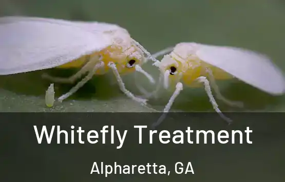  Whitefly Treatment Alpharetta, GA