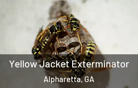  Yellow Jacket Exterminator Alpharetta, GA